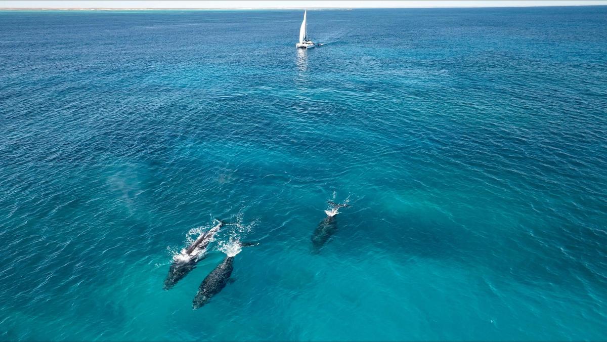 5 Night Ningaloo Escape