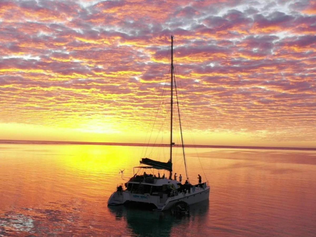 7 Night Ningaloo Humpback Whale Safari Package