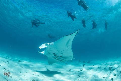 5 Night Ningaloo Escape