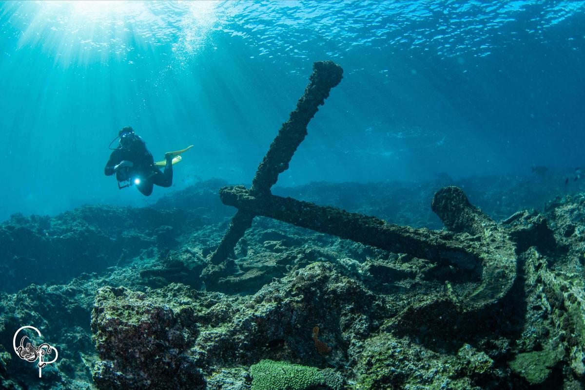 Private Ningaloo Reef Sailing Charters