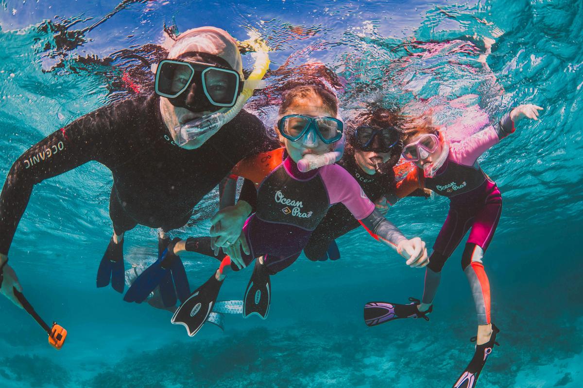 7 Night Ningaloo Humpback Whale Safari Package