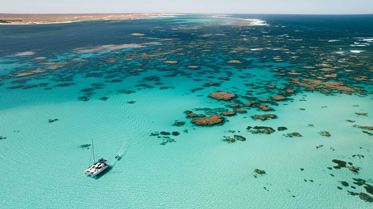 Private Ningaloo Reef Sailing Charters