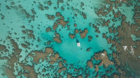 7 Night Ningaloo Humpback Whale Safari Package