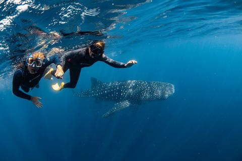 7 Night Ningaloo Luxury Wildlife Package