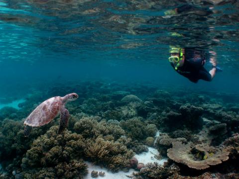 8 Night Ultimate Ningaloo Tour Package