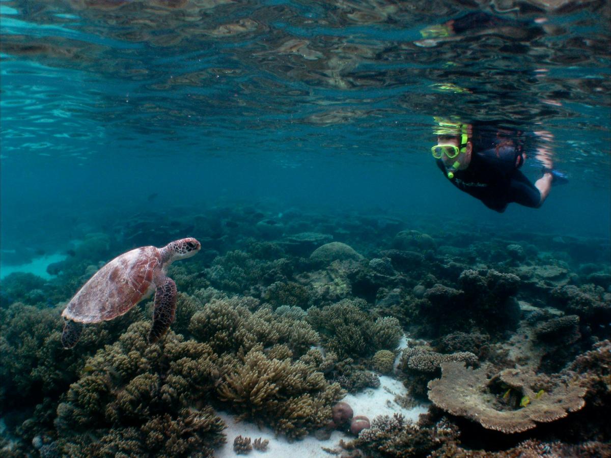 8 Night Ultimate Ningaloo Tour Package