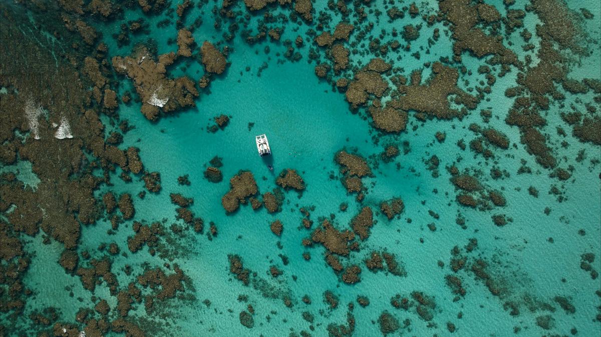3 Night Snorkel and Dive Getaway