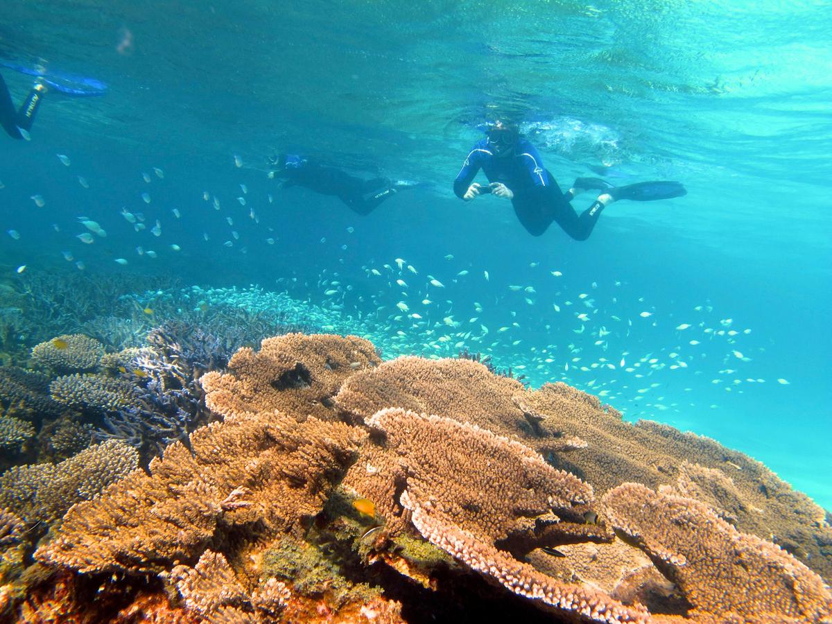 5 Night Ningaloo Escape