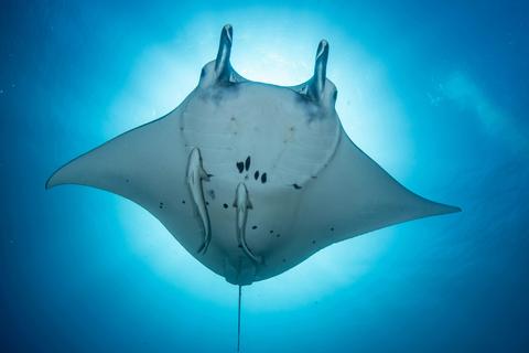 Private Ningaloo Reef Sailing Charters