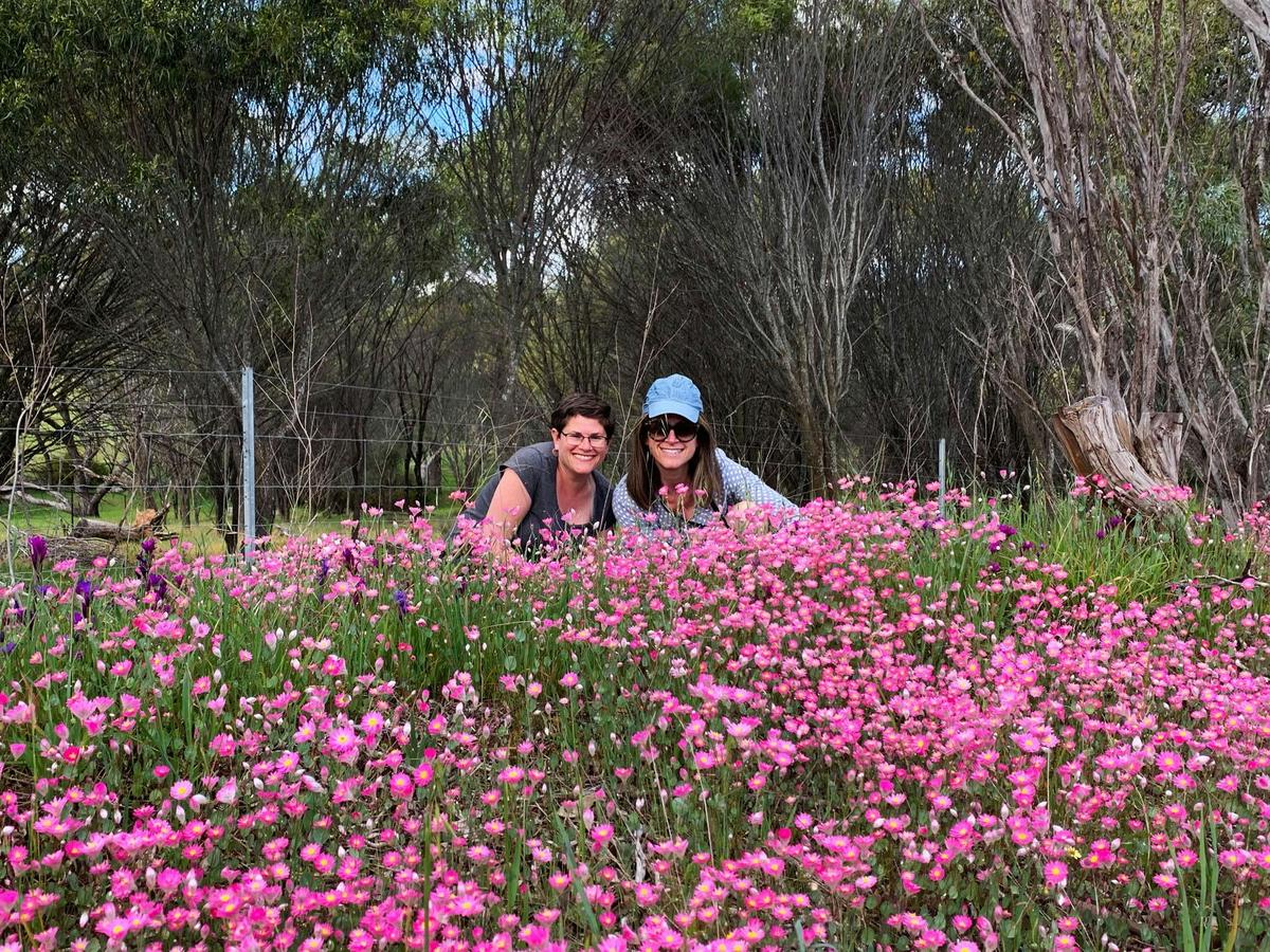 Wildflower Tours
