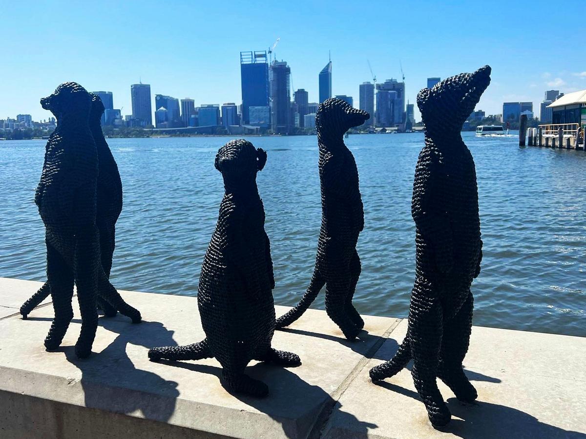 The Big Perth Day Tour