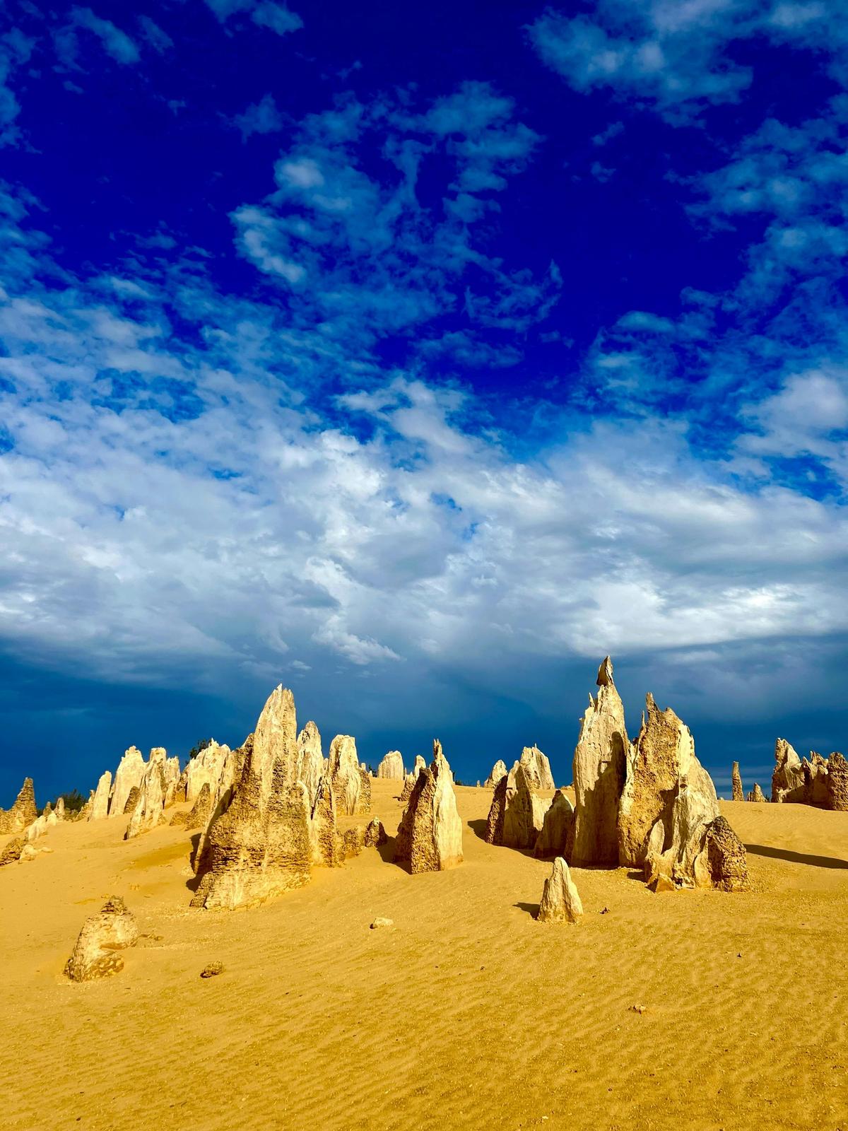 Pinnacles Desert Tour