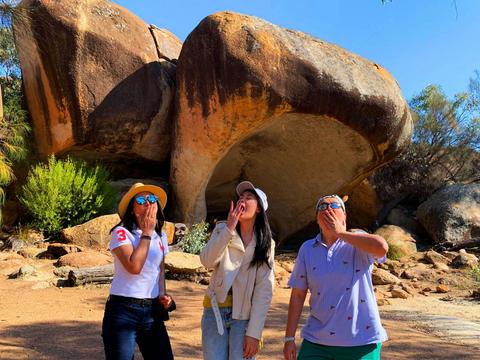 The Big Wave Rock Day Tour
