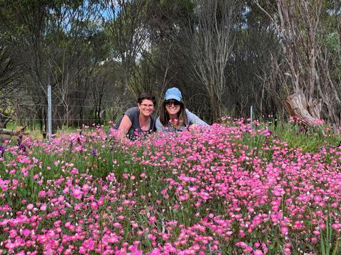Perth's Tiny Tours