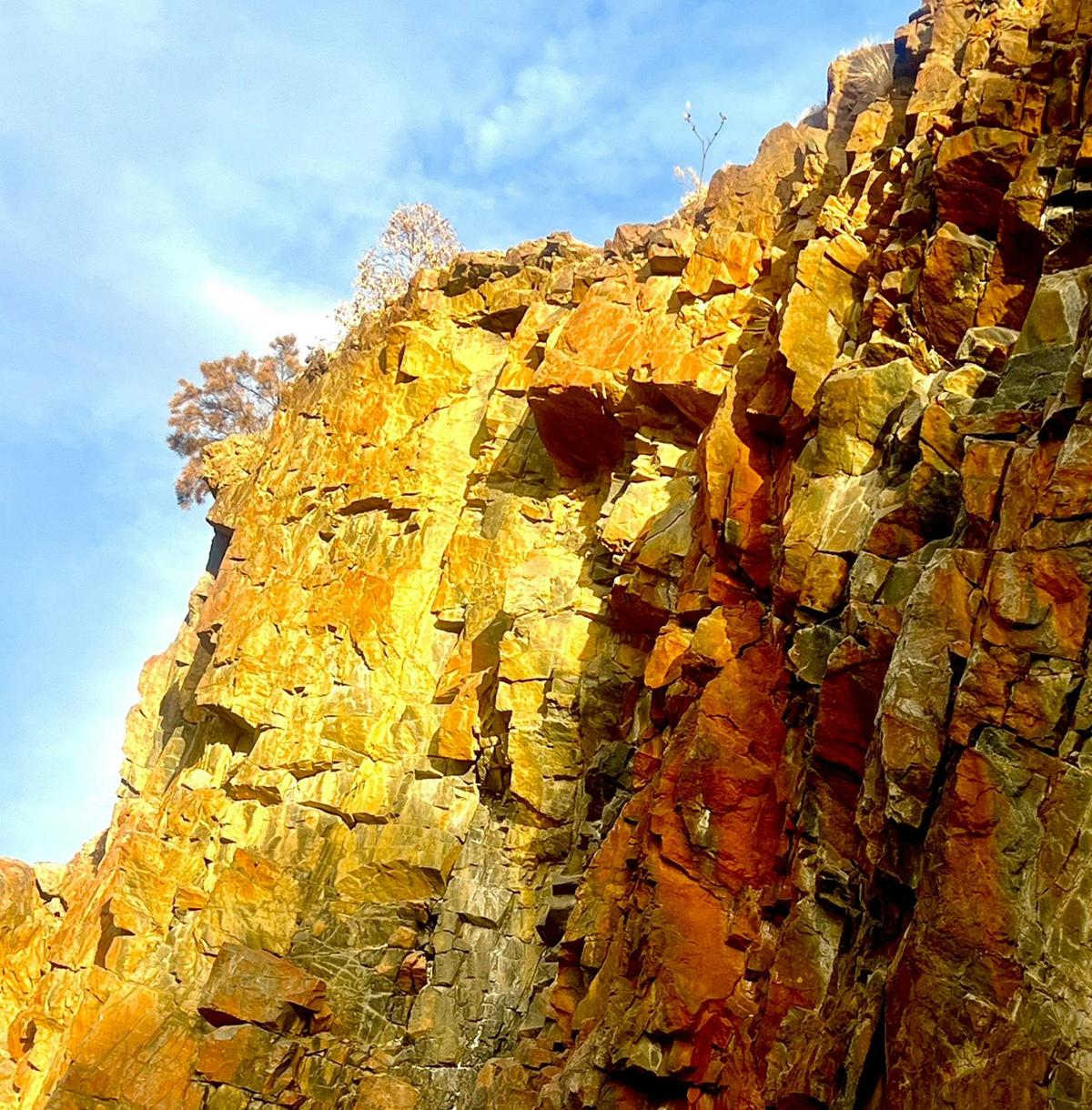 Perth Hills Explorer Tour