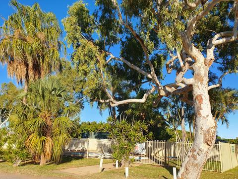 Plantation Caravan Park