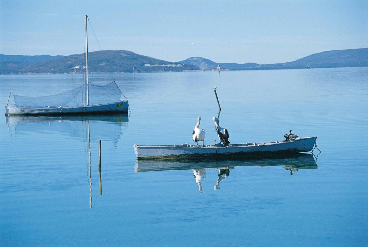 Princess Royal Harbour, Albany