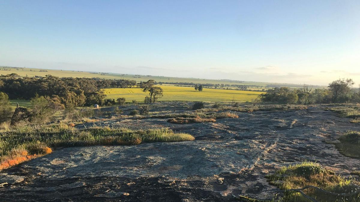 Qualin Farm bush camp