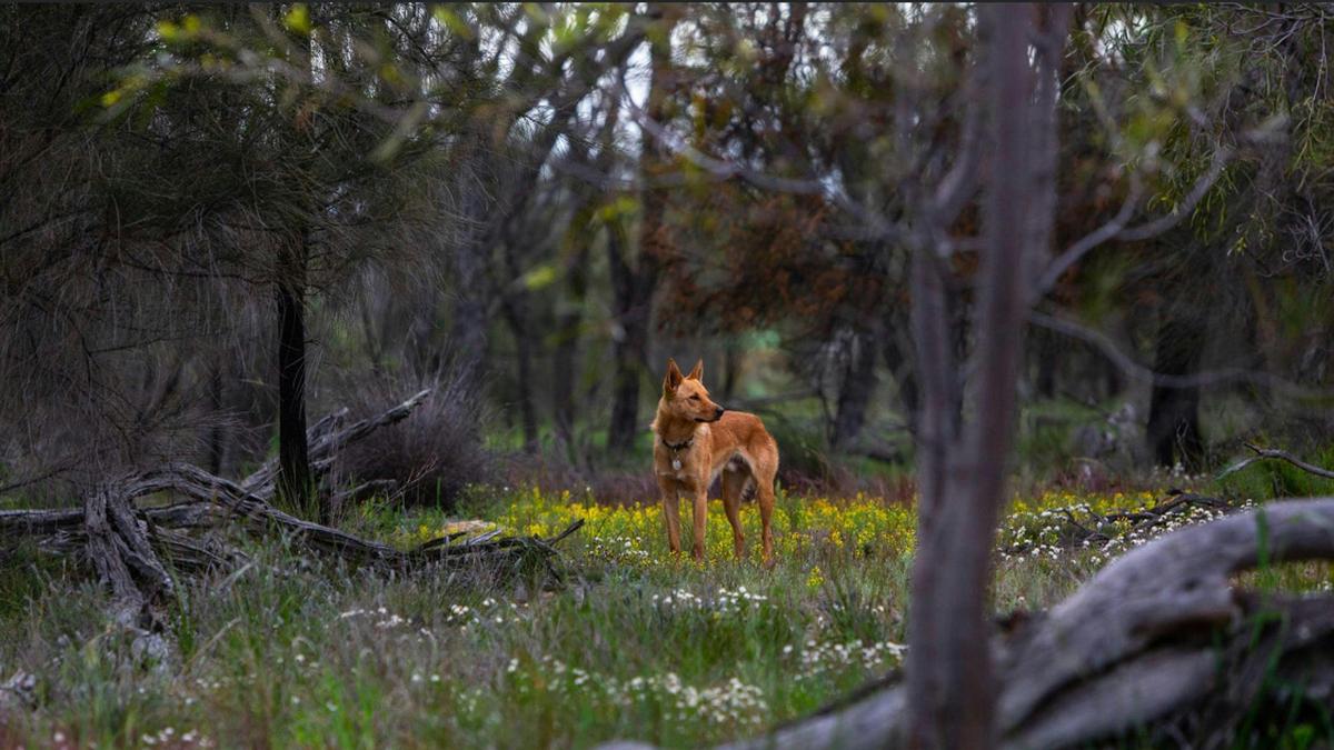 Qualin Farm bush camp