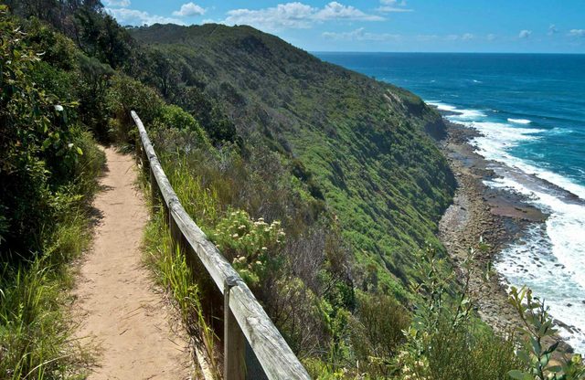 The Coast Walking Track