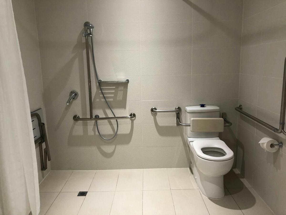 Raised toilet, rail, adjustable shower handle, shower chair