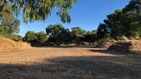 Peppie Tree Drive