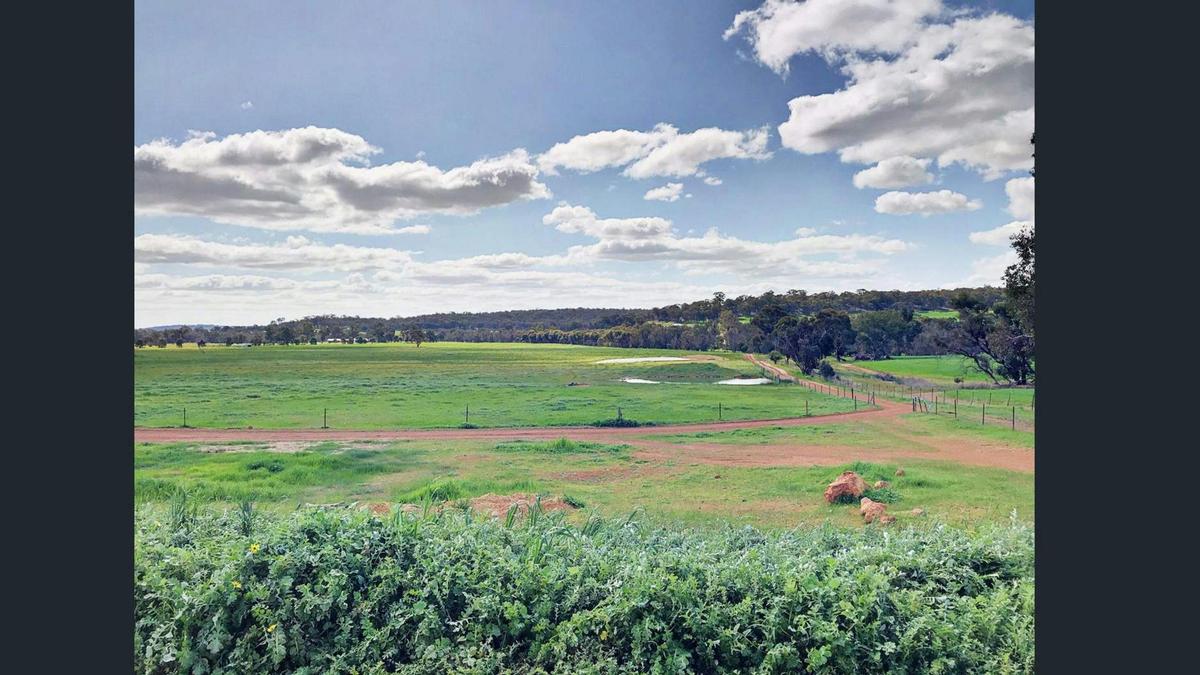 Rose Creek Farm