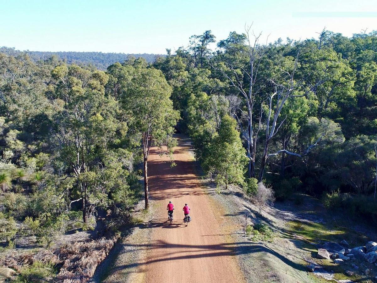 Cyclists on Trail