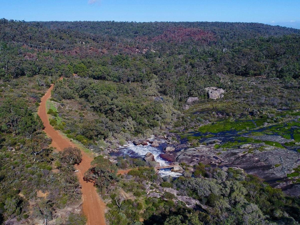 Trail through John Forrest NP