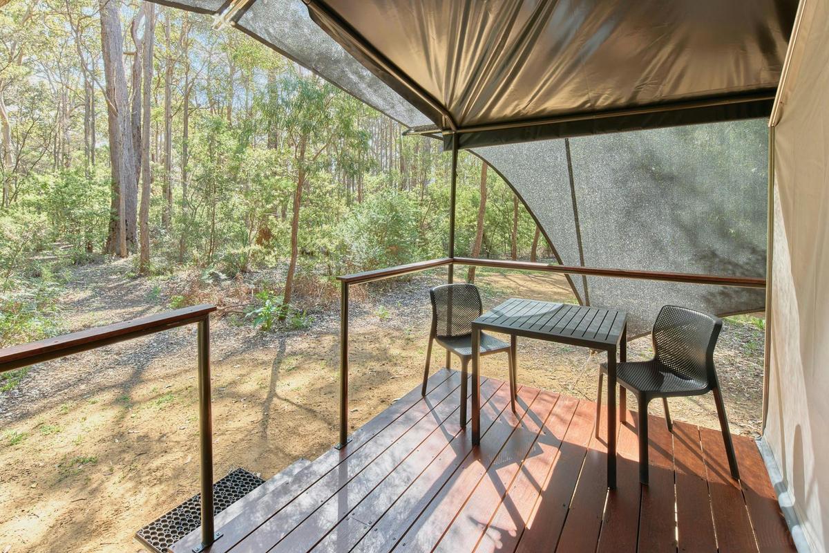 Safari Tent