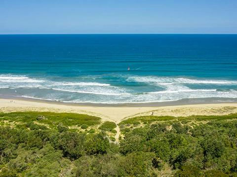 Beach Road picnic area