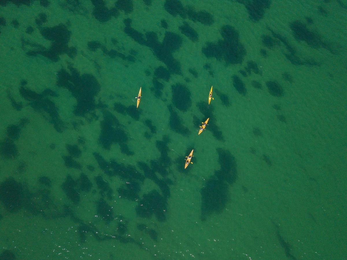 Shoalwater Islands Marine Park
