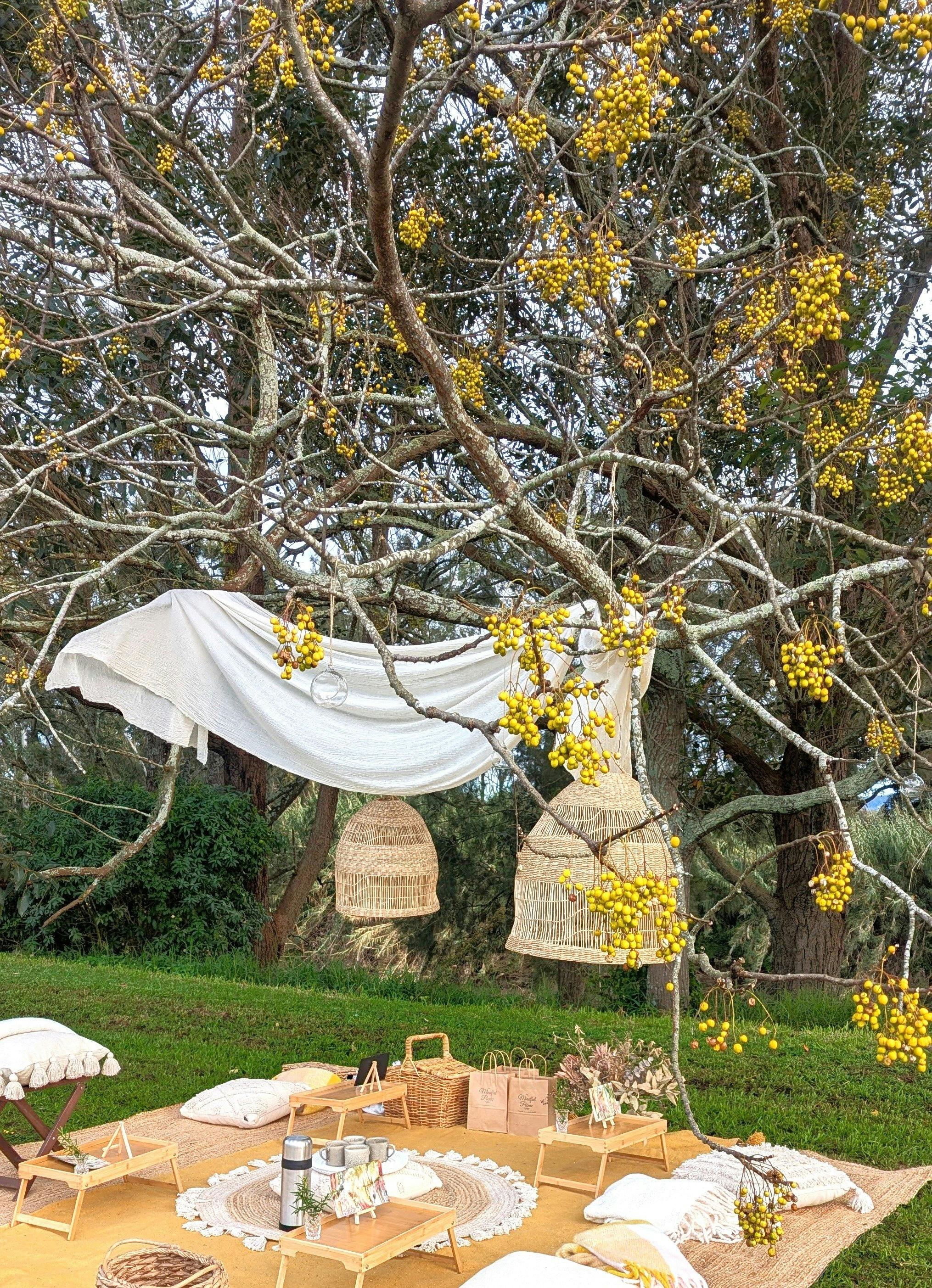 The Mindful Picnic at Paterson