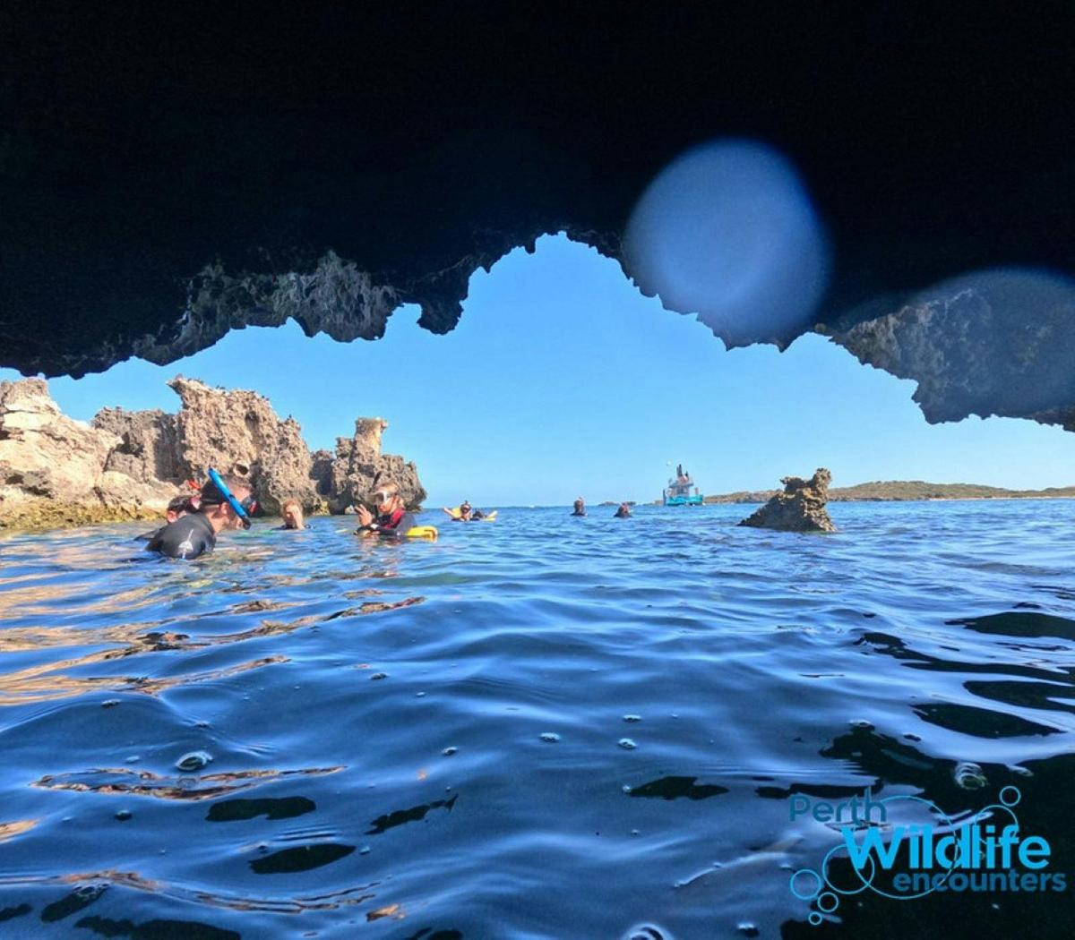 3 Island Wildlife Snorkel