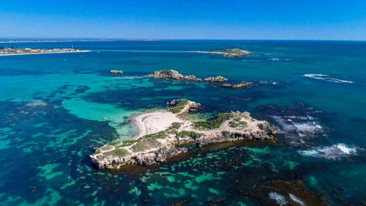 3 Island Wildlife Snorkel