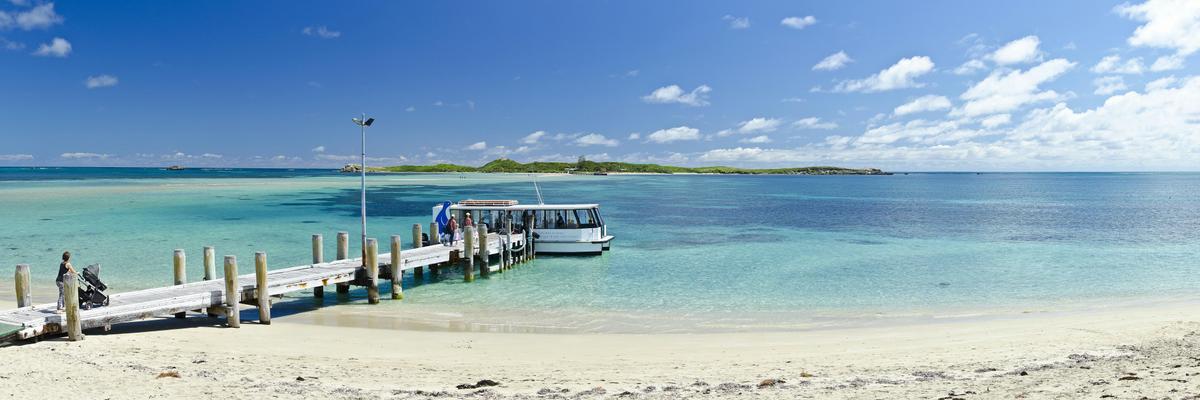 Penguin Island Ferry