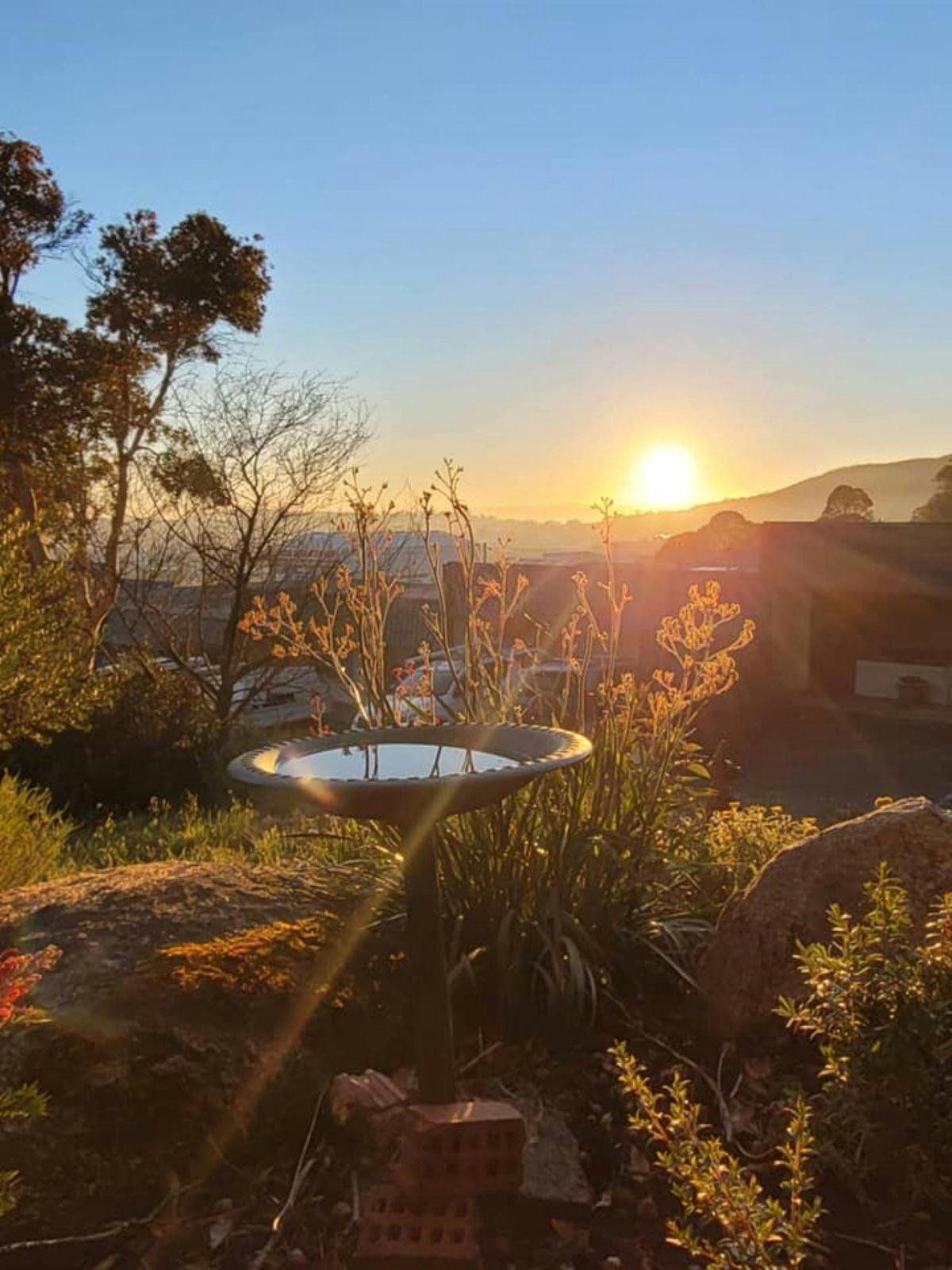 view from garden, sunrise, peaceful, garden, nature, country