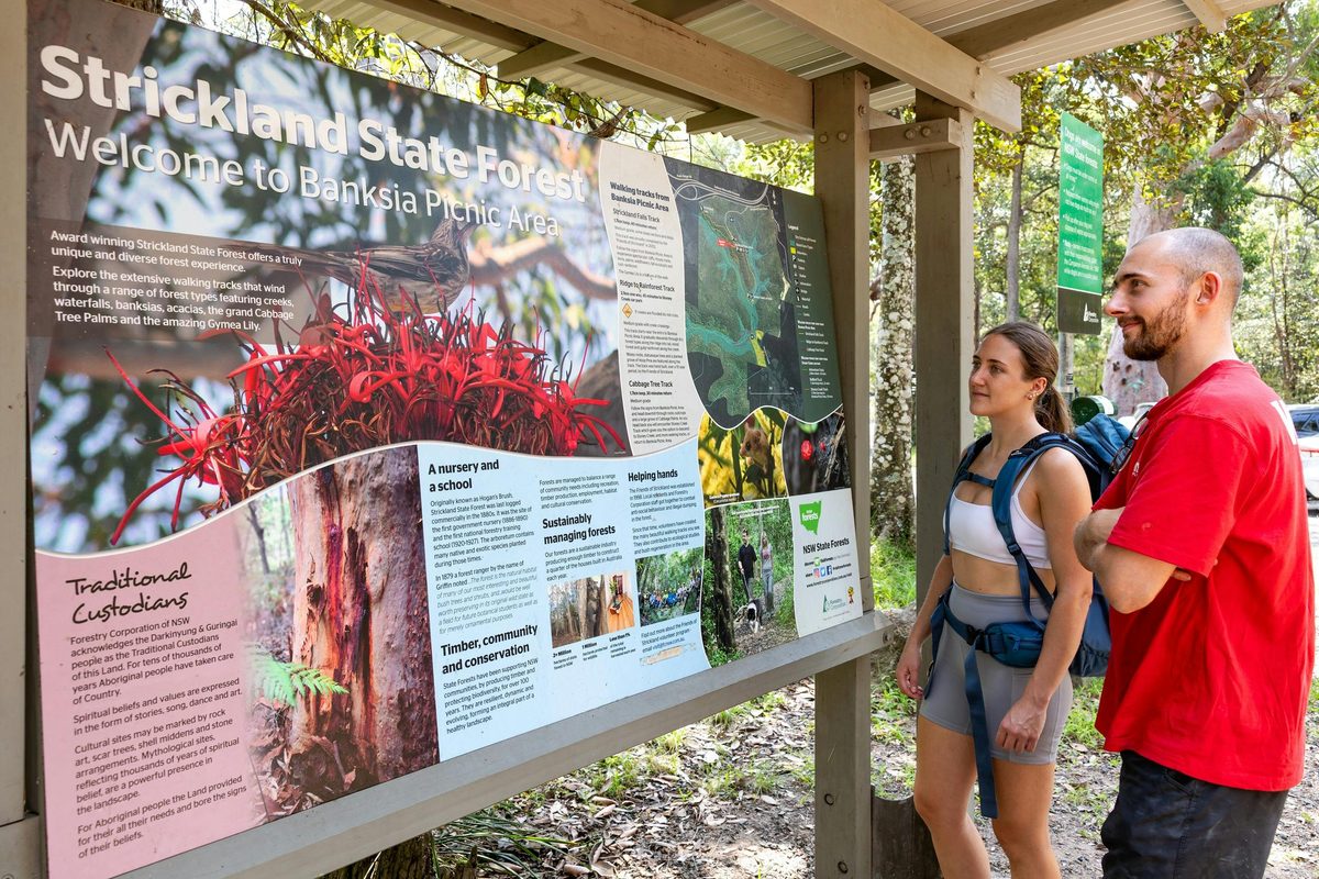 Visitors at interpretive signage, Strickland State Forest