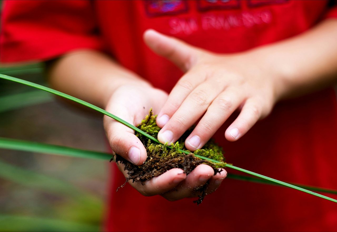 Strickland is a place of ecological discovery
