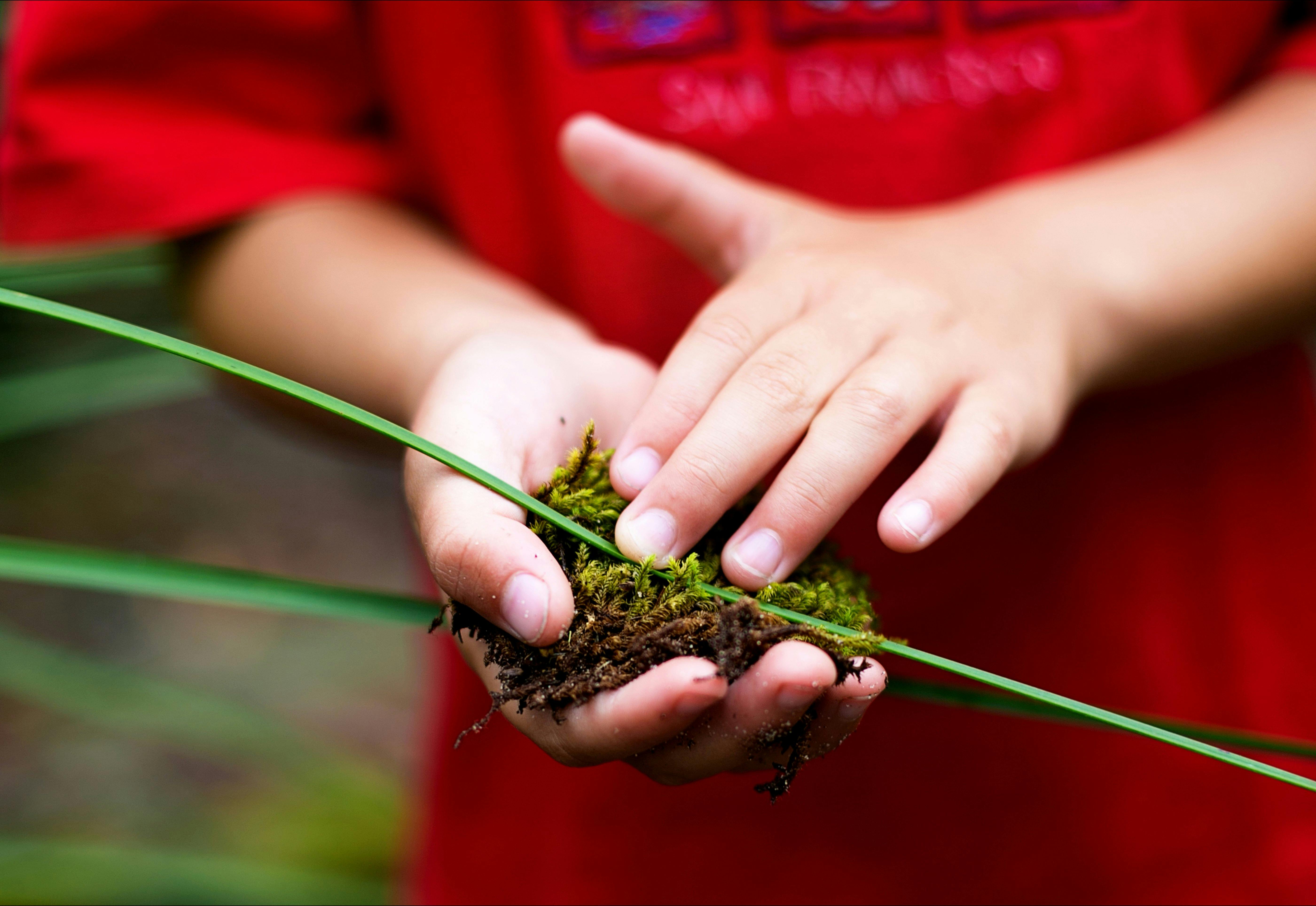Strickland is a place of ecological discovery