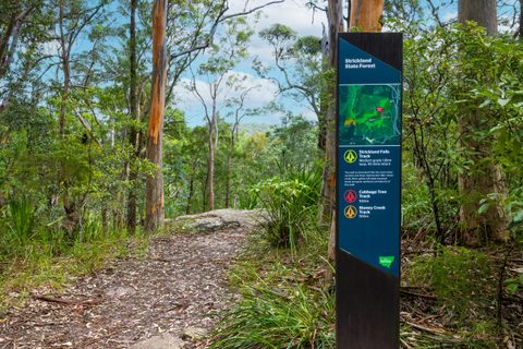 Strickland State Forest