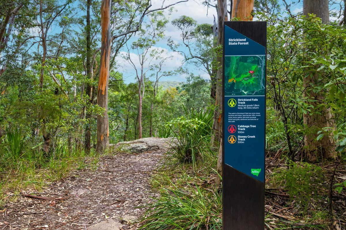 Trail head signage at one of Strickland's many walking tracks