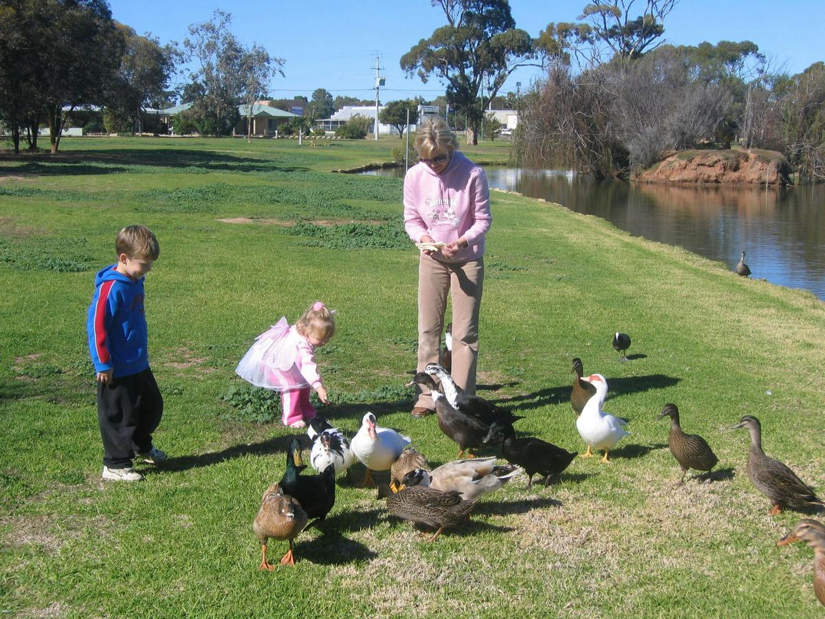 Roy Little Park, Merredin