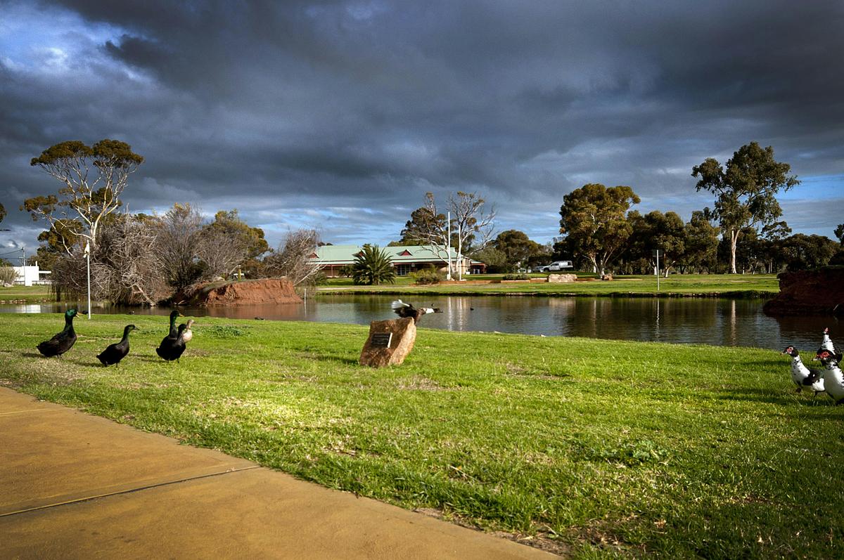 Roy Little Park, Merredin