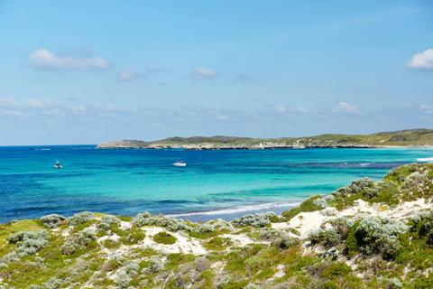Salmon Bay
