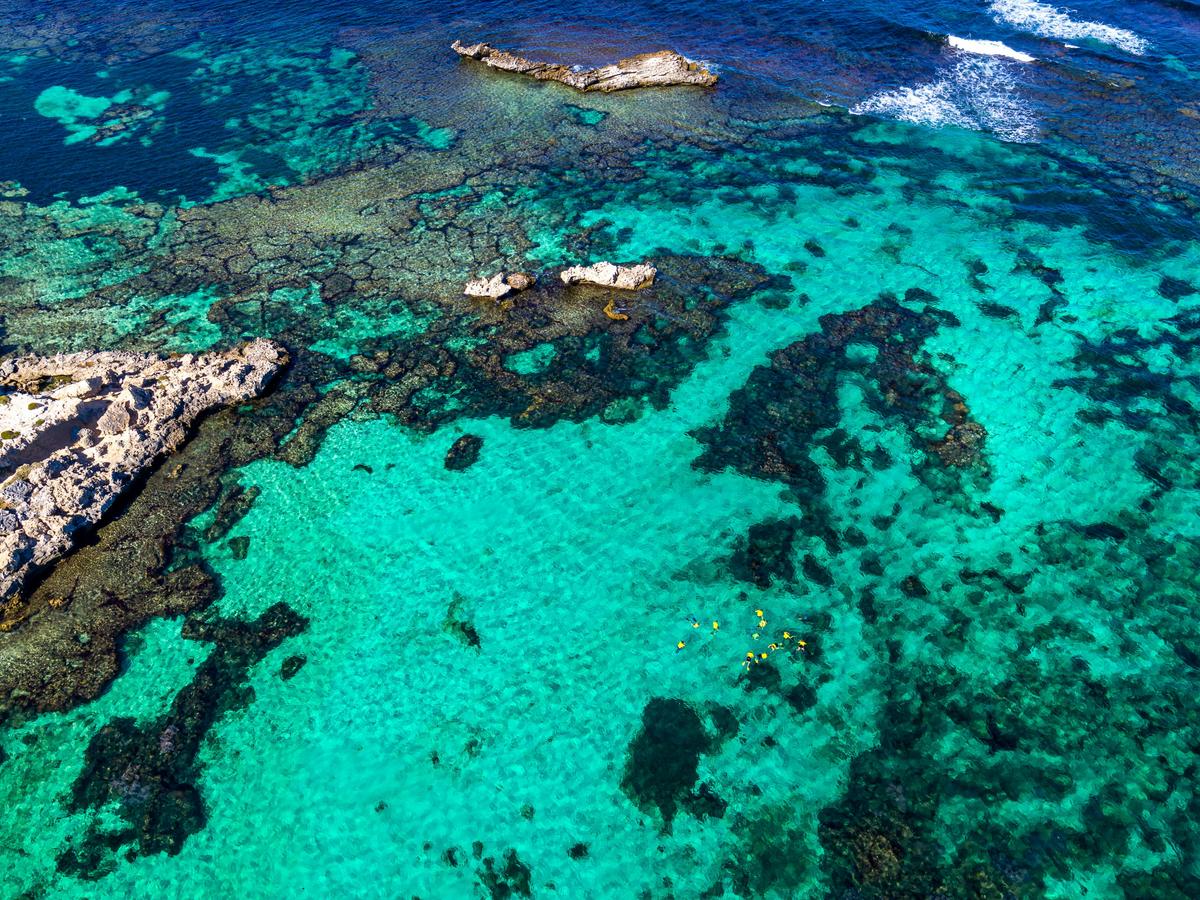 The reef at Salmon Bay