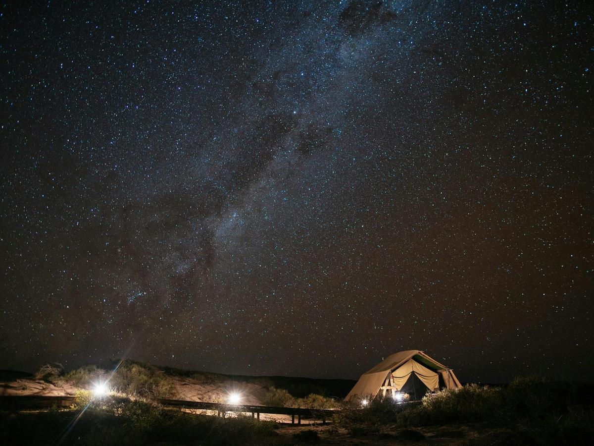 Wilderness Tents