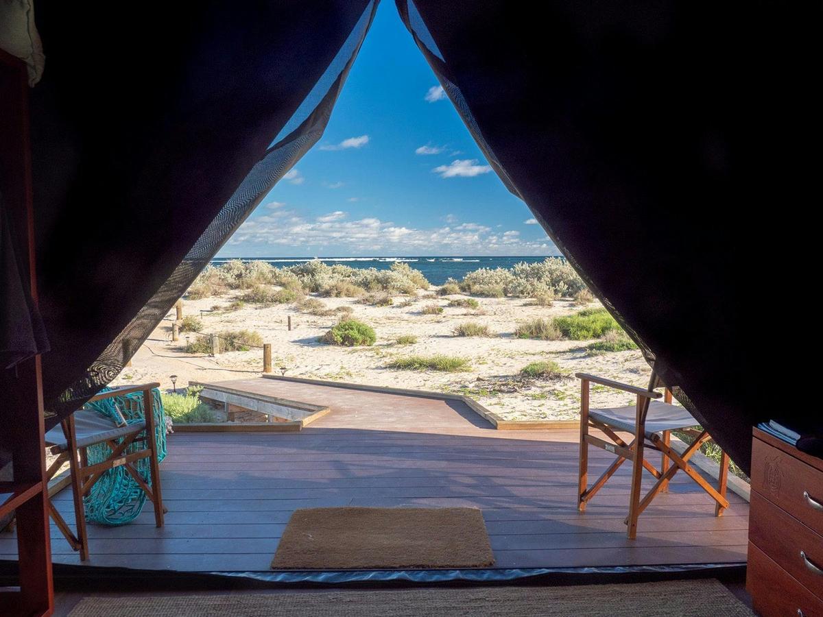 Wilderness Tents