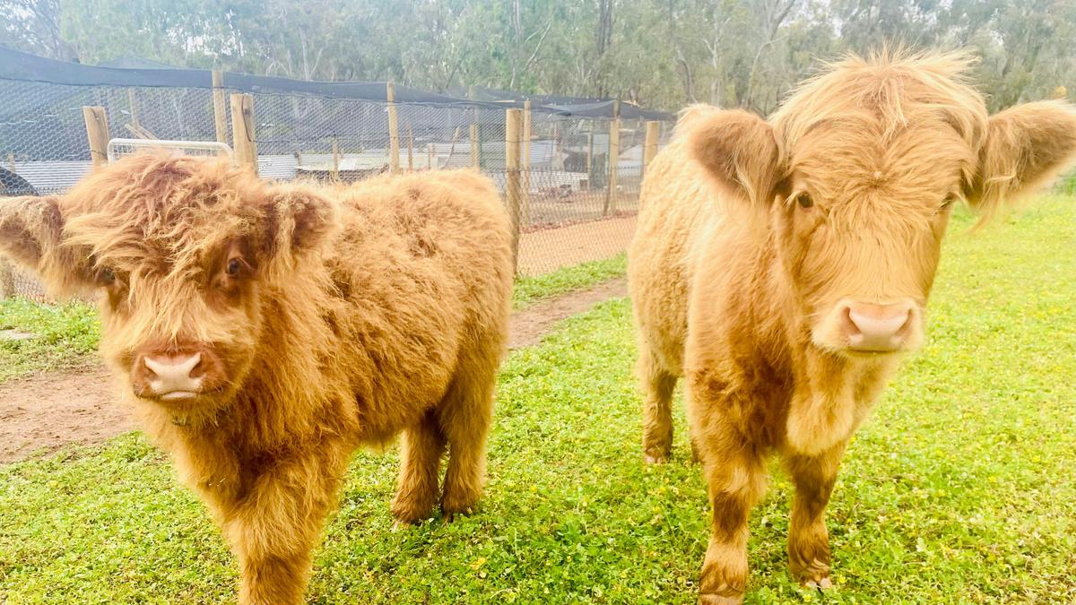 Sandalwood Downs Farm Stay Toodyay