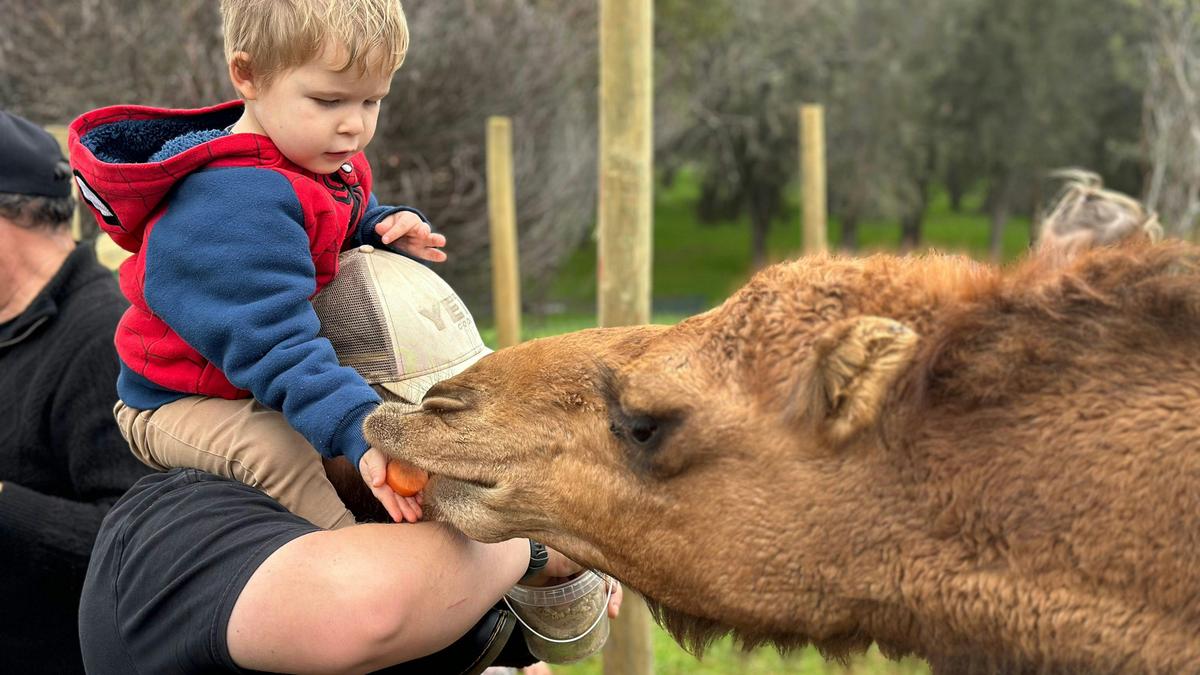 Sandalwood Downs Farm Stay Toodyay